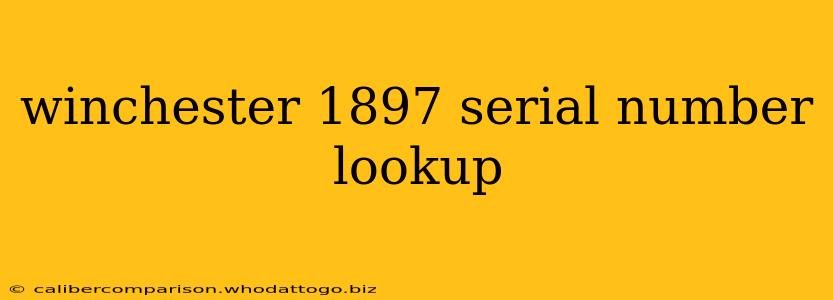 winchester 1897 serial number lookup