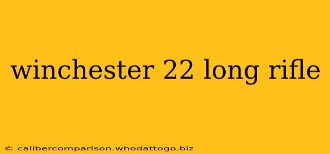 winchester 22 long rifle