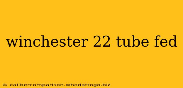 winchester 22 tube fed