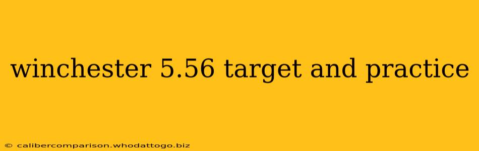 winchester 5.56 target and practice