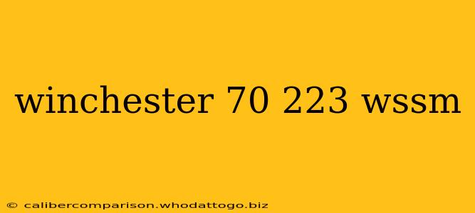 winchester 70 223 wssm