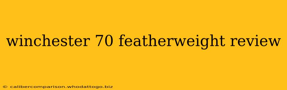 winchester 70 featherweight review