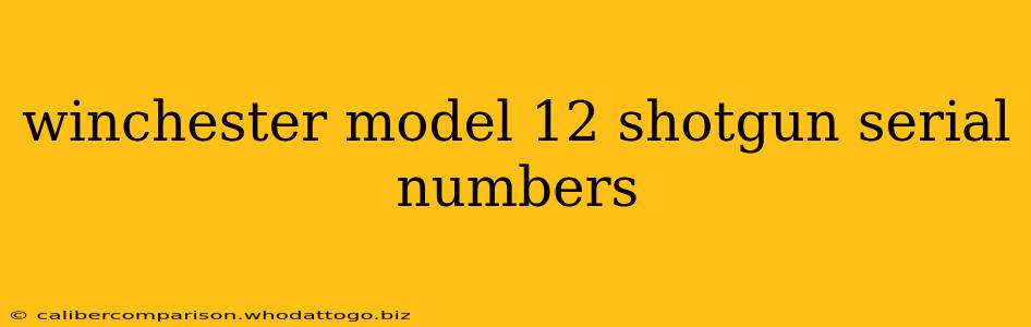 winchester model 12 shotgun serial numbers