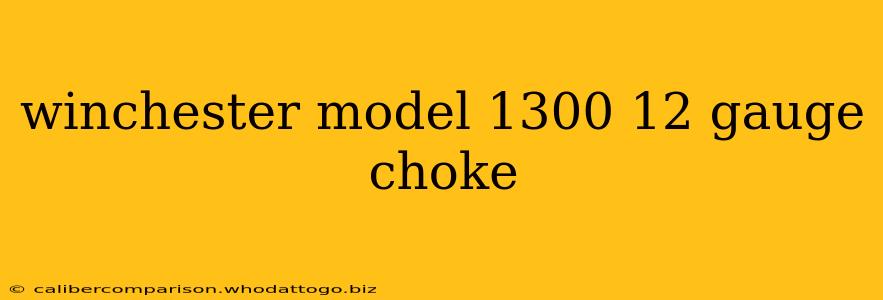 winchester model 1300 12 gauge choke