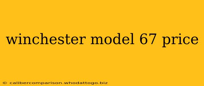 winchester model 67 price