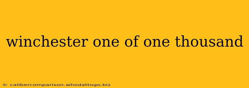 winchester one of one thousand