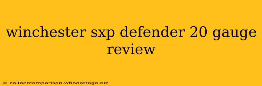 winchester sxp defender 20 gauge review