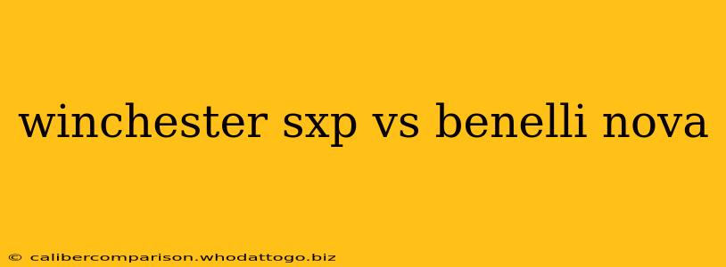 winchester sxp vs benelli nova