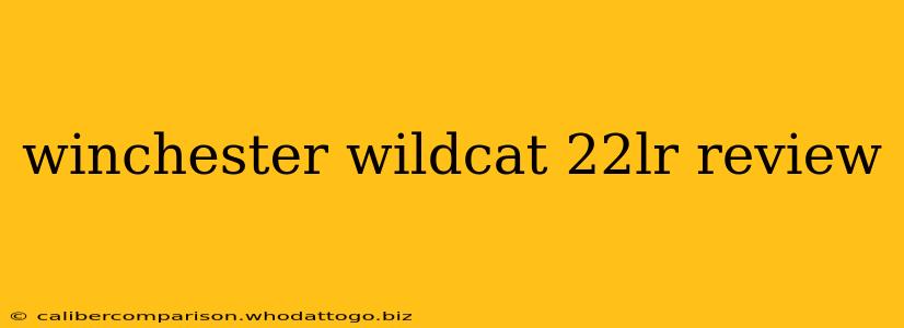 winchester wildcat 22lr review