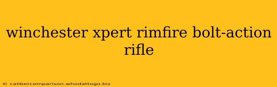 winchester xpert rimfire bolt-action rifle