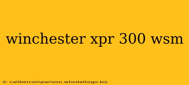 winchester xpr 300 wsm