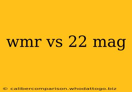 wmr vs 22 mag