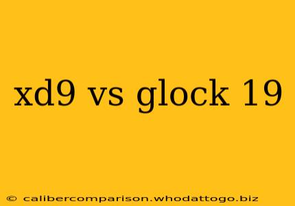 xd9 vs glock 19