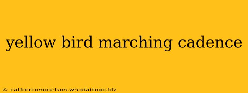 yellow bird marching cadence