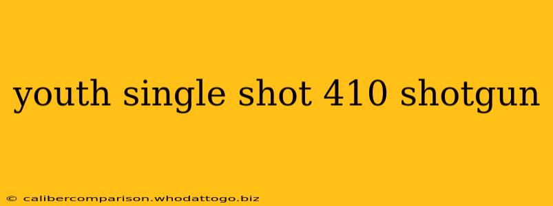 youth single shot 410 shotgun